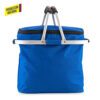 NEVERA COOLER BAG PICNIC - Imagen 3