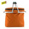 NEVERA COOLER BAG PICNIC - Imagen 4