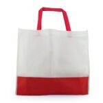BOLSA DE COMPRA BICOLOR 2