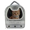 MORRAL GATO