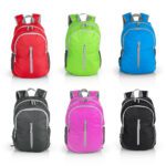 BOLSO PLEGABLE CLEOPATRA 20 LTS