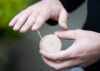 YOYO MADERA - Imagen 2